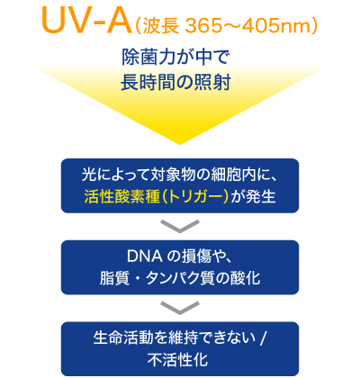 bs-uv-a.png