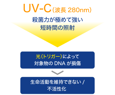 bs-uv-c.png